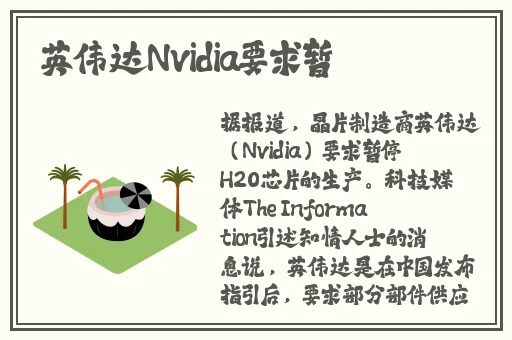 久久亚洲精品综合国产仙踪林